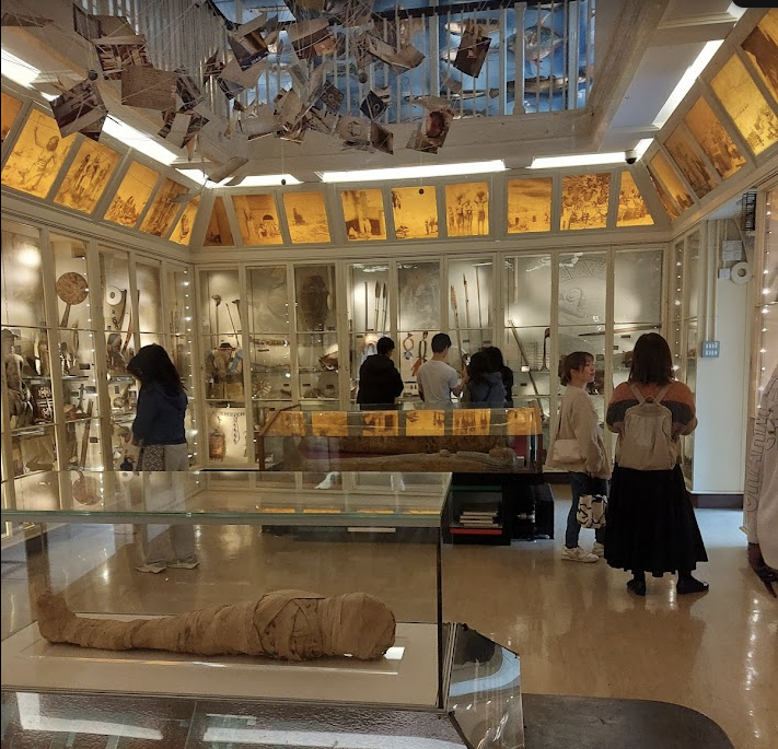 Students in the Museum