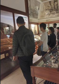 KC at Warrington Museum